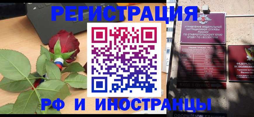 найти адрес прописки в Белой Холунице